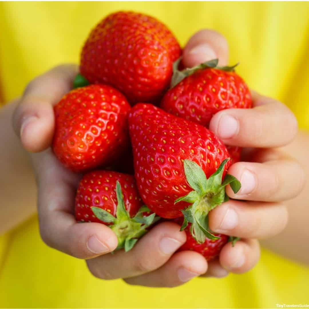 Strawberries are great snacks for kids 
