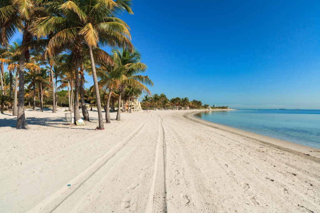 Panoramic view of one of the best family beaches in Miami, Crandon Park Beach, with soft white sand and a row of swaying palm trees. The calm turquoise waters and clear blue skies create a serene setting for a family day out at the beach.